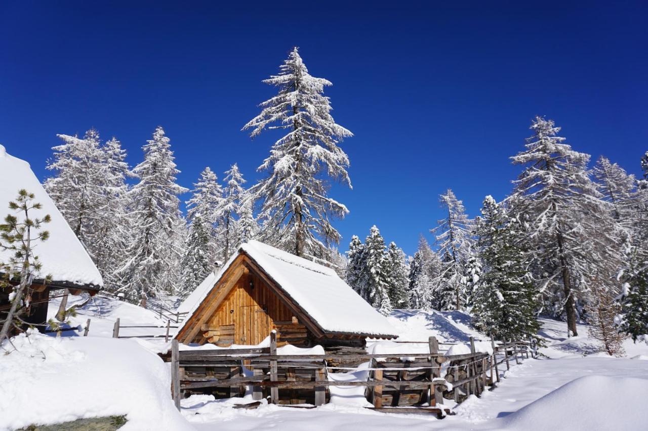 Bergheim Schmidt, Almhuetten Im Wald Appartments An Der Piste Alpine Huts In Forrest Appartments Near Slope Туррахер-Хёэ Экстерьер фото